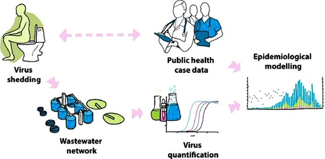 Diagram showing the wastewater monitoring process